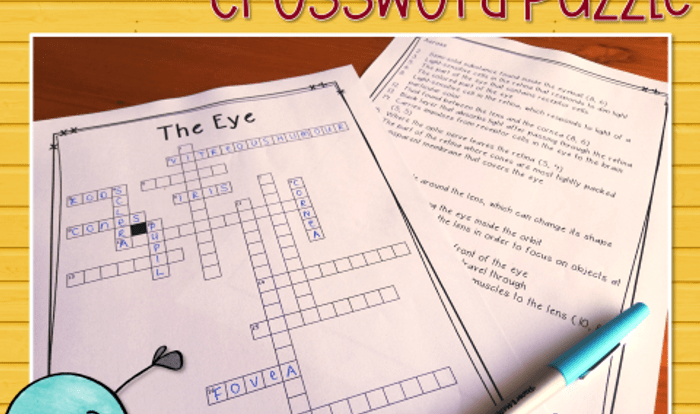 Eye or ear crossword clue