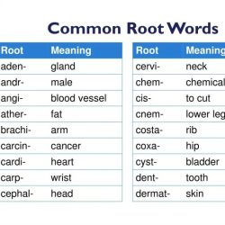 Words root medical quiz solve link click biz