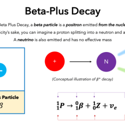 Decay minus radioactivity byjus neutron proton